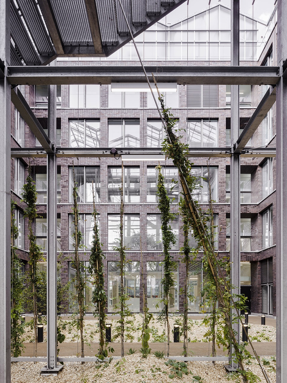 administration building with rooftop greenhouse at the altmarkt oberhausen by kuehn malvezzi