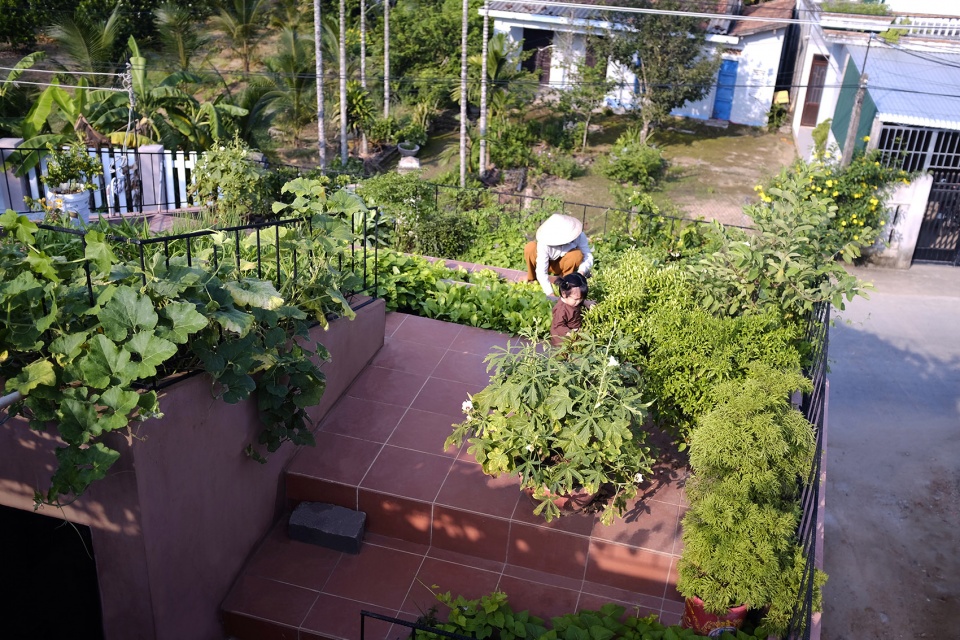 the red roof by taa design