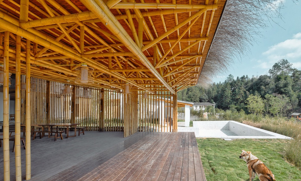 the reception of jiufeng village china by rural culture d r c