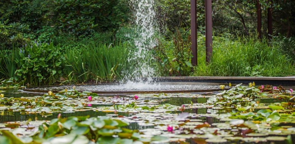 2019 asla general design award of excellence heritage flume by stimson