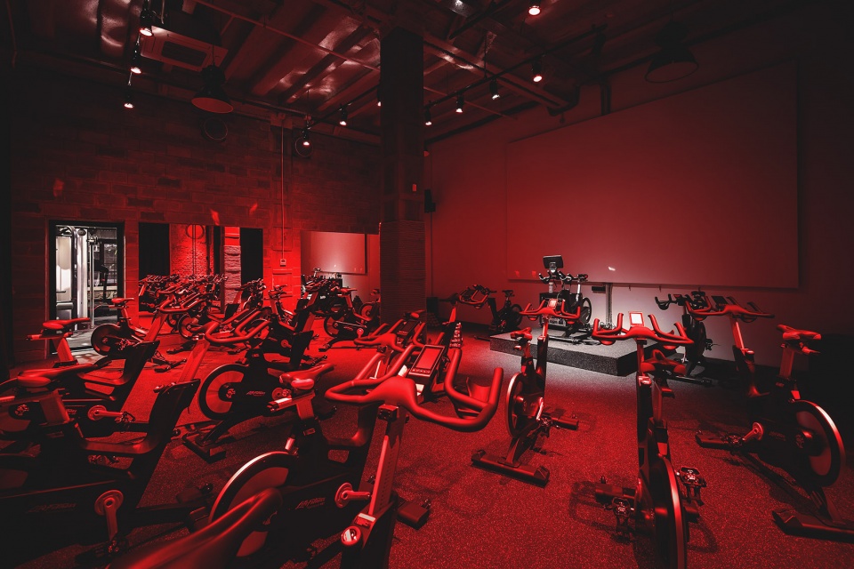 gym sektsia by mast