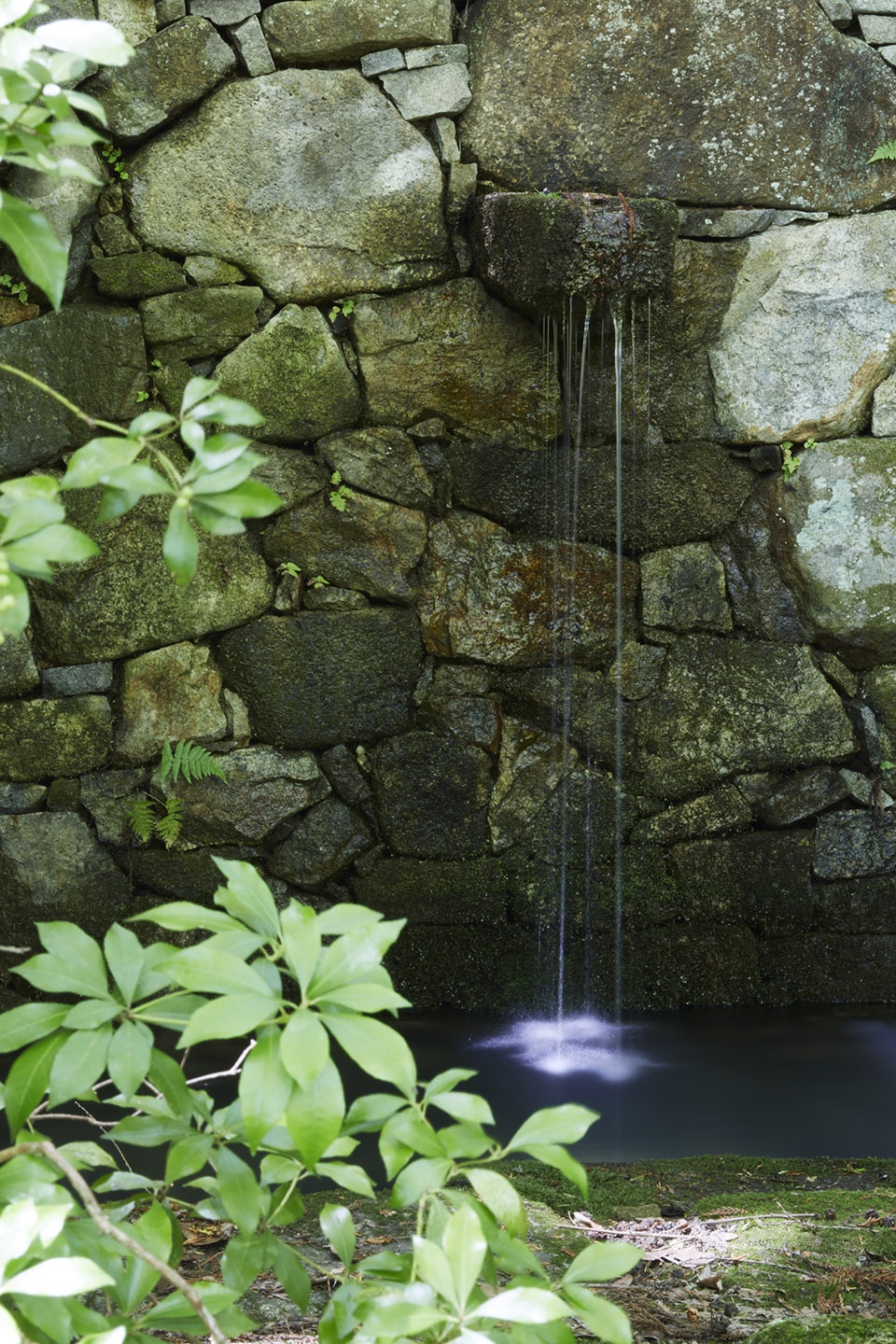 aman kyoto kerry hill architects