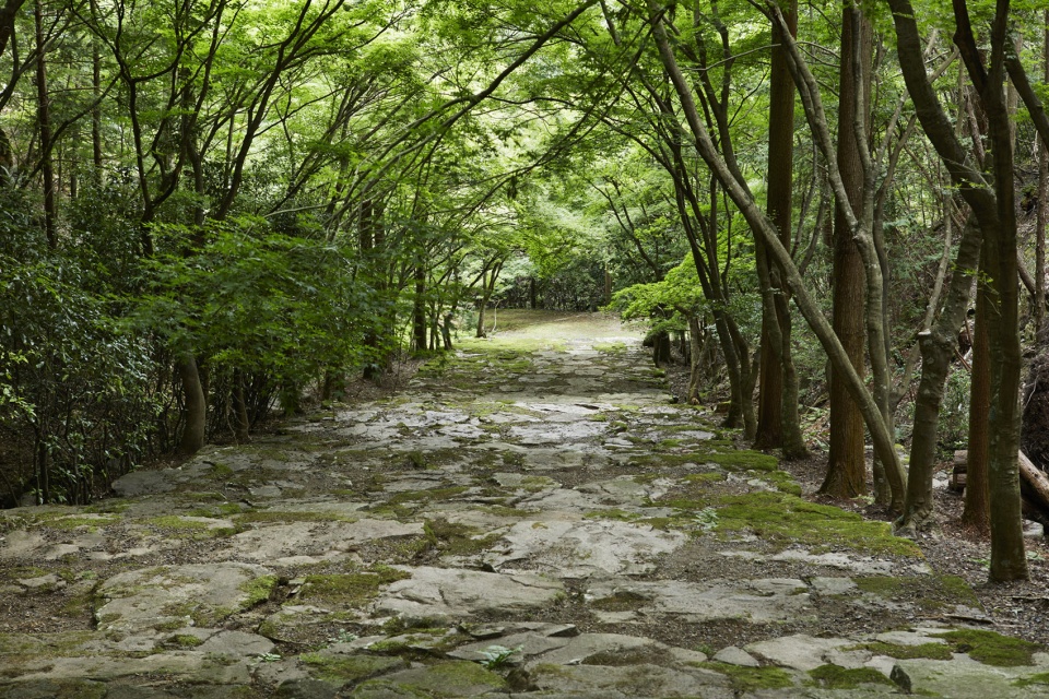 aman kyoto kerry hill architects