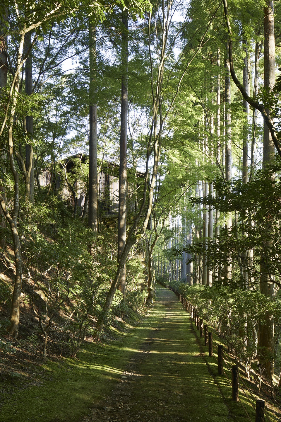 aman kyoto kerry hill architects