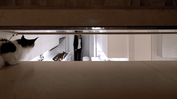 renovation design of a 40 square meter living space china by continuation studio