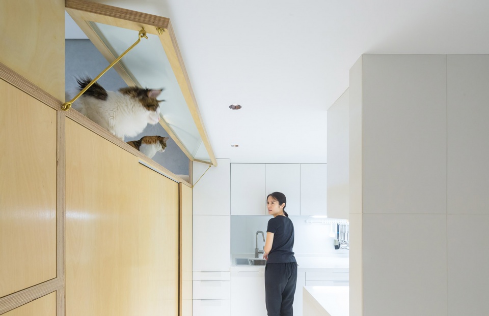 renovation design of a 40 square meter living space china by continuation studio