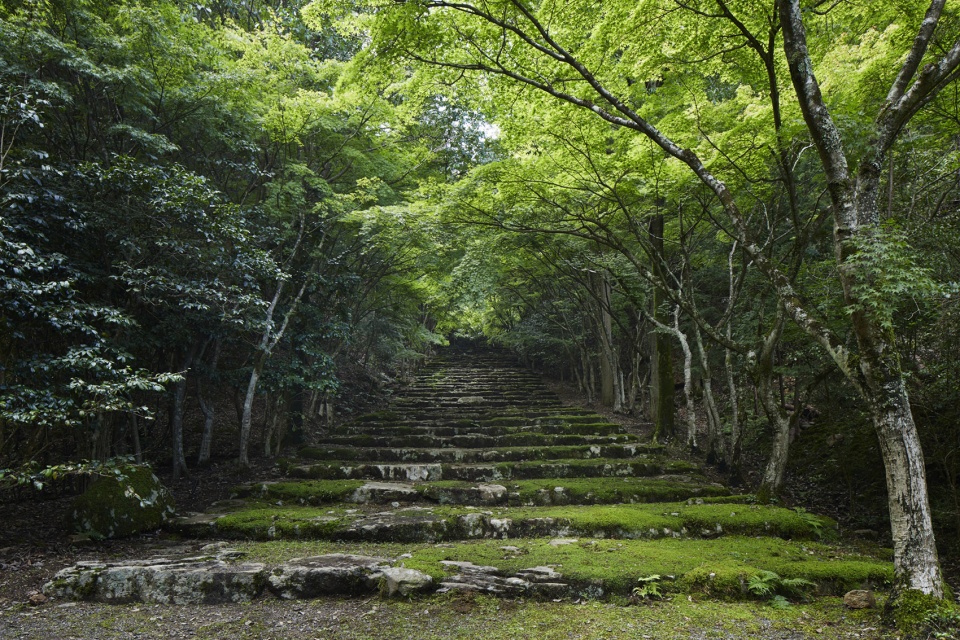 aman kyoto kerry hill architects