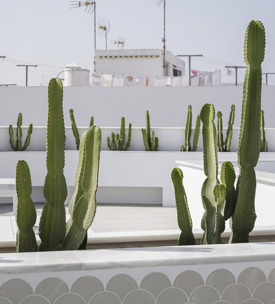 conil home suite by kauh arquitectura paisajismo