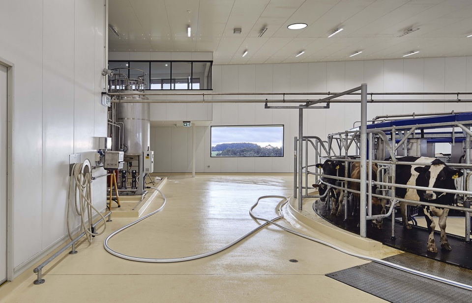 bannister downs dairy creamery by bosske architecture