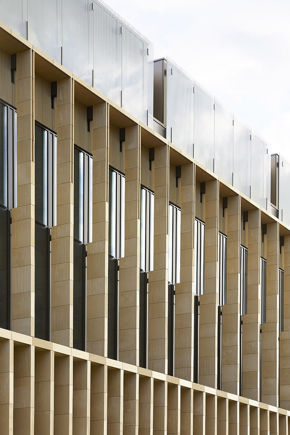 Zayed Centre for Rare Diseases Stanton Williams