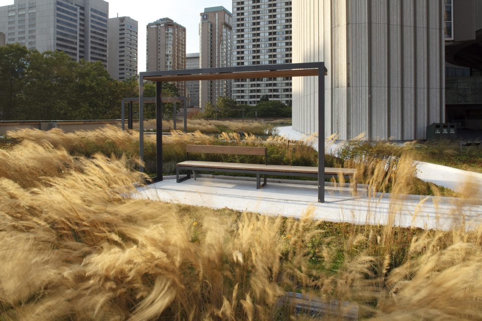 nathan phillips square revitalization by plant architect perkins will hoerr schaudt landscape architects adrian blackwell urban projects