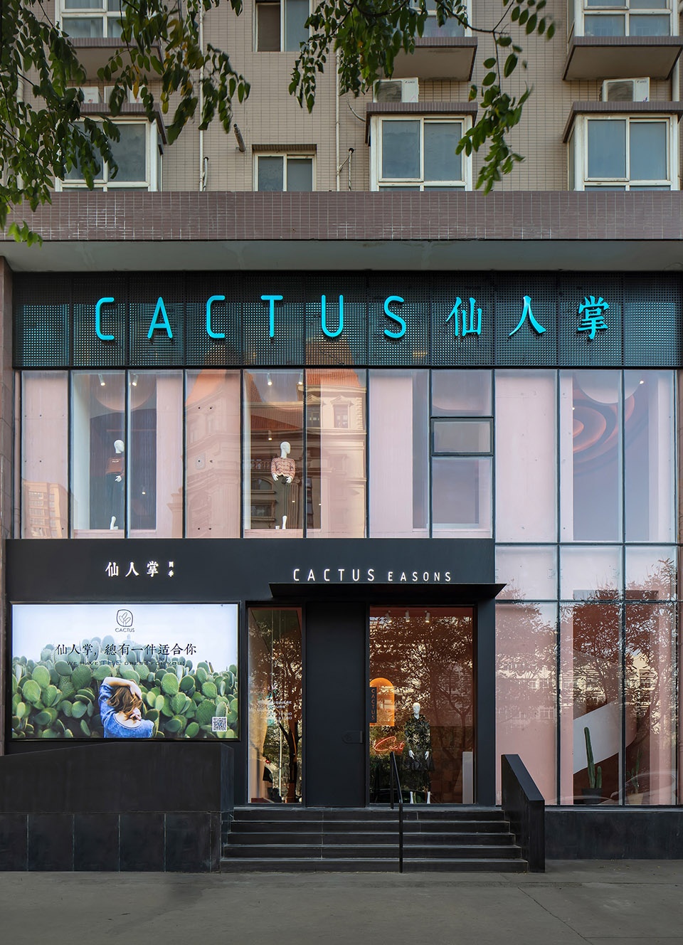 cactus Boundary Space Design