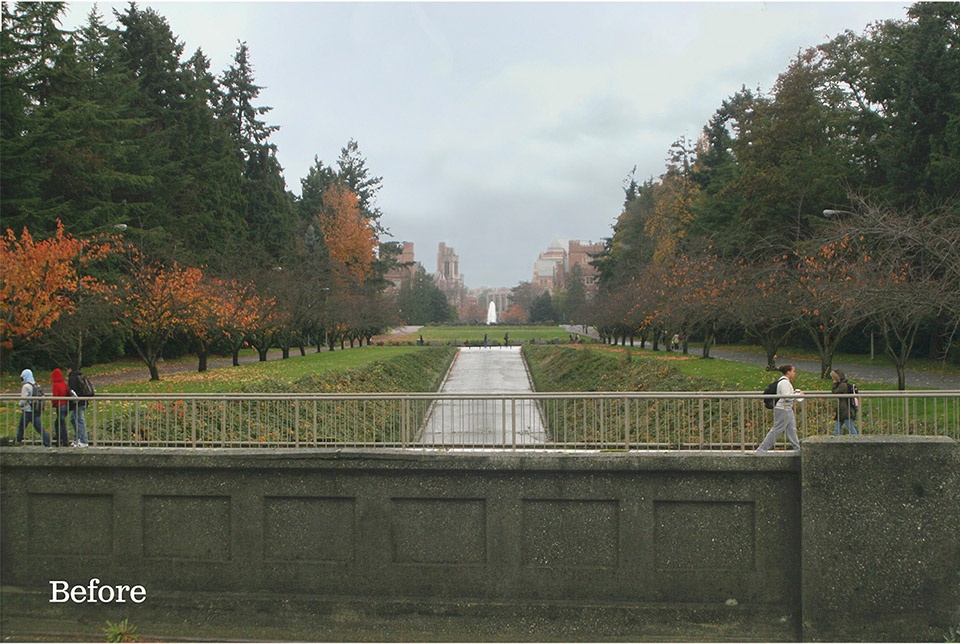 2019 asla general design award of honor lower rainier vista pedestrian land bridge by ggn