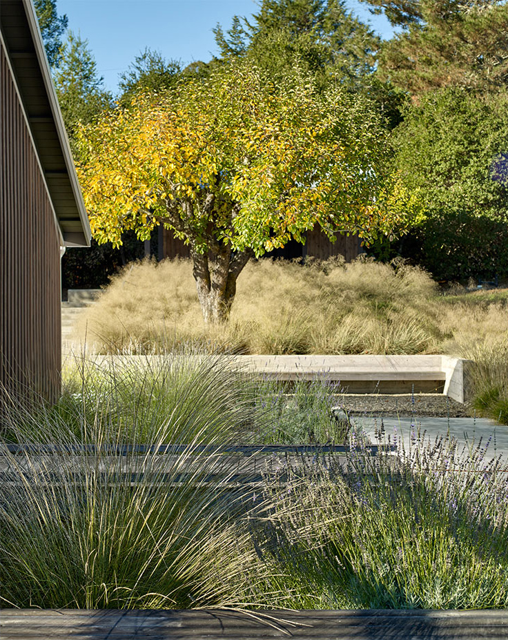 2019 asla residential design award of honor where agriculture meets coastal woodlands by longwell macdonald