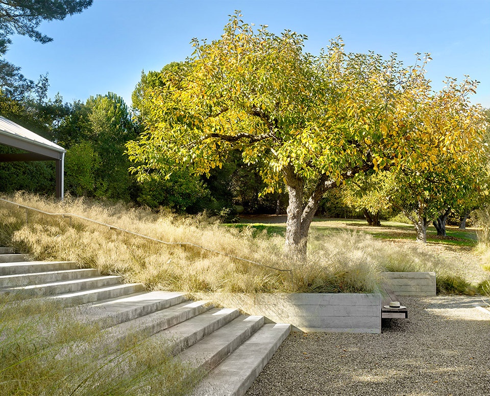 2019 asla residential design award of honor where agriculture meets coastal woodlands by longwell macdonald