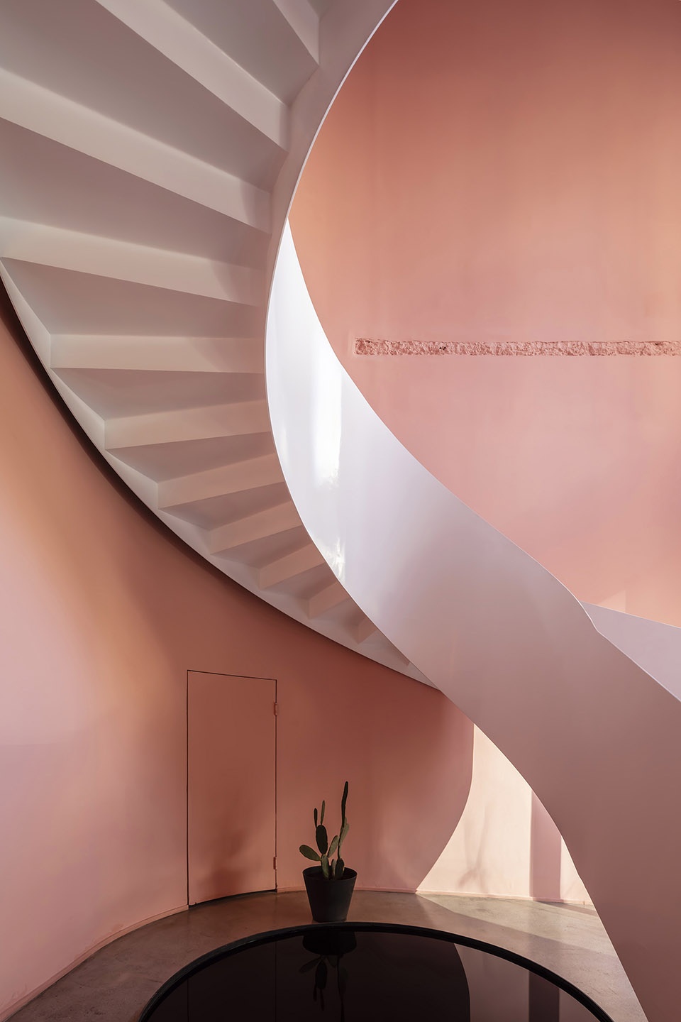 cactus Boundary Space Design