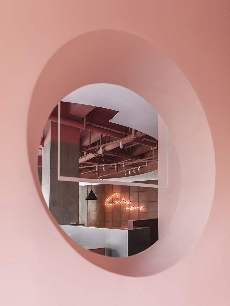 cactus Boundary Space Design