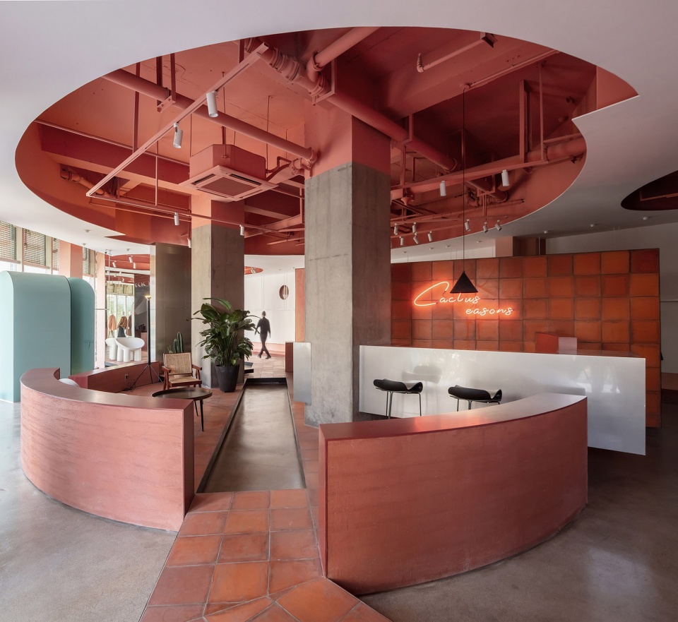 cactus Boundary Space Design