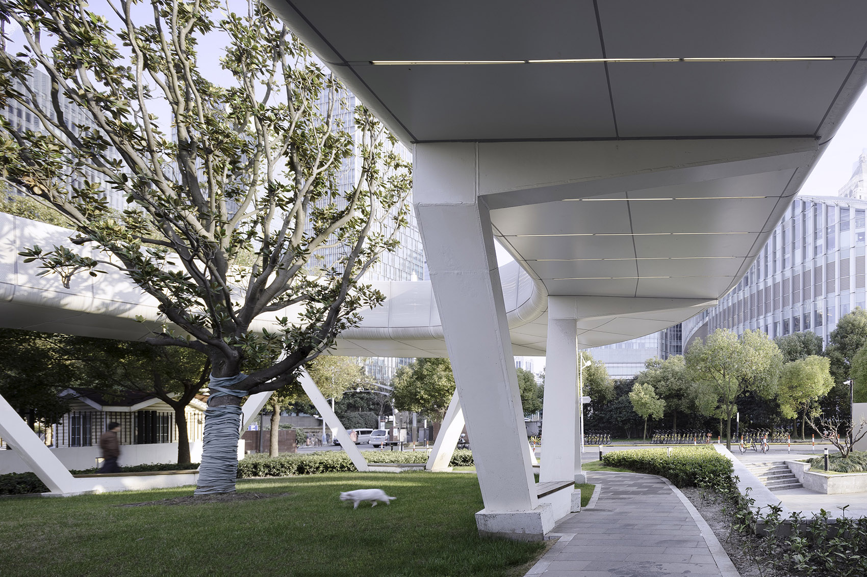 Interweaving Flows Scenic Architecture Office