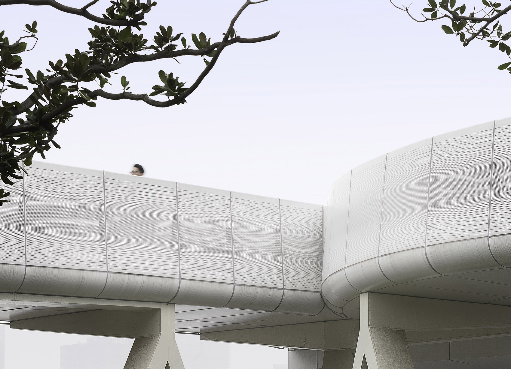 Interweaving Flows Scenic Architecture Office