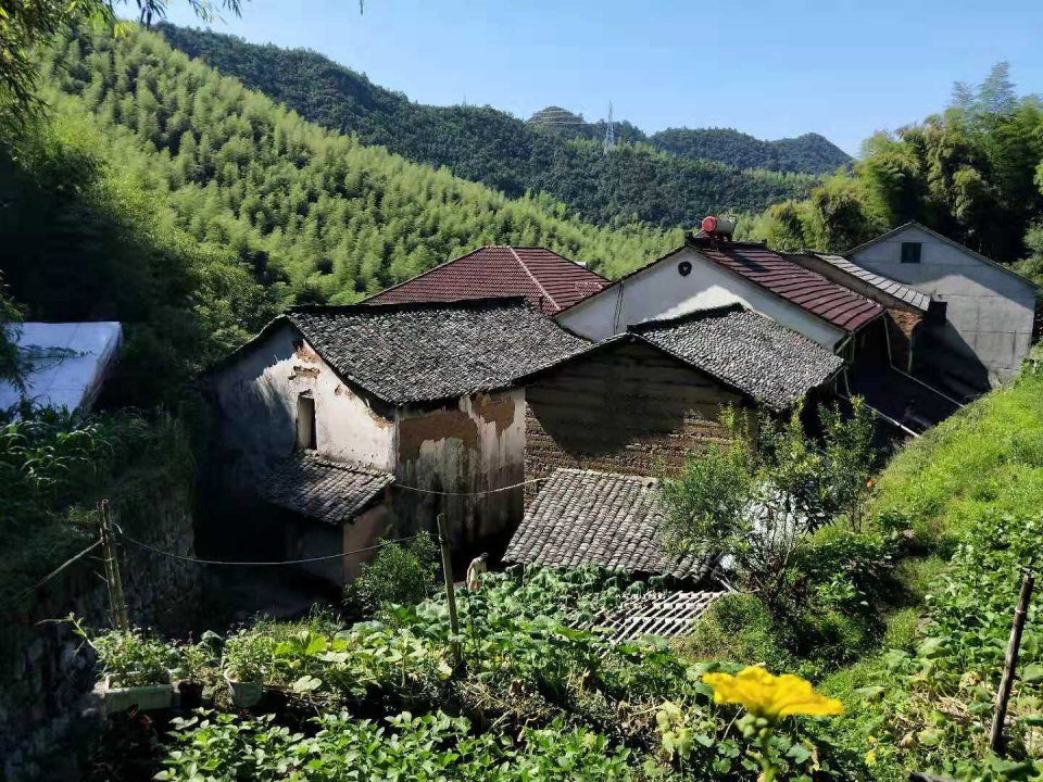 mogan guest house HEI Architectural Design Studio