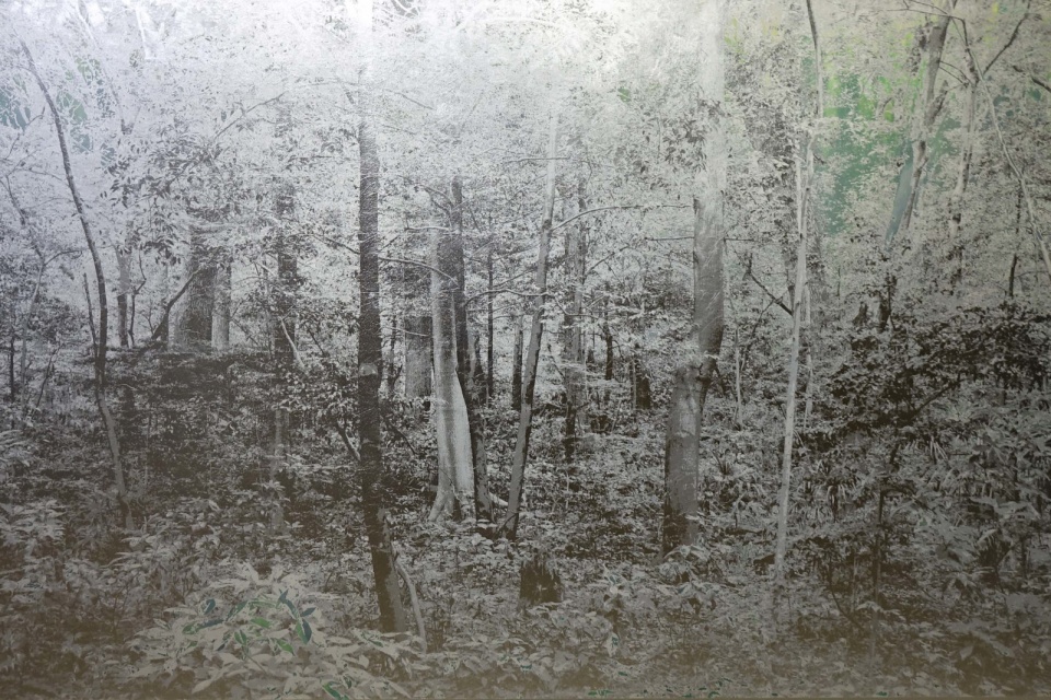 JD Malat Gallery Masayoshi Nojo