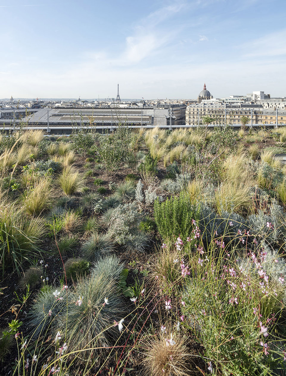 Grand Central Paris by Ferrier Marchetti Studio