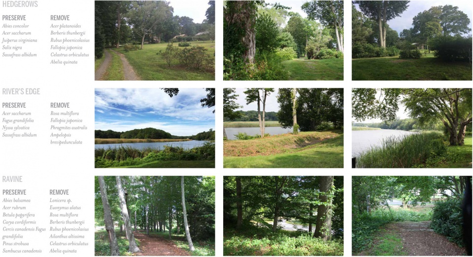 2019 asla analysis and planning award of honor florence griswold museum the artists trail history ecology and sense of place by stimson