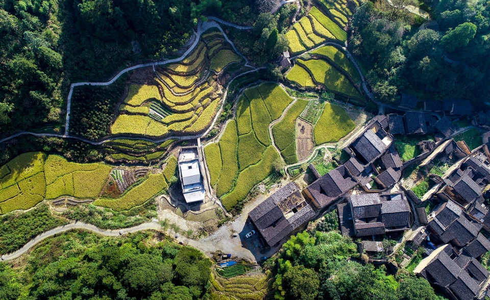 xiadi paddy field bookstore of librairie avant garde china by tao