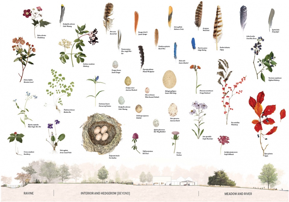 2019 asla analysis and planning award of honor florence griswold museum the artists trail history ecology and sense of place by stimson