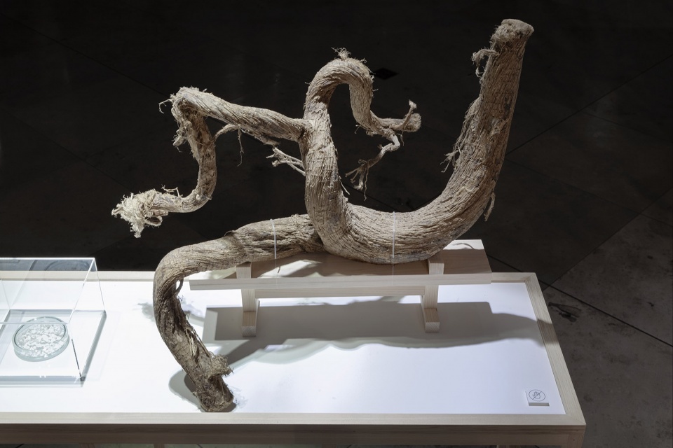 toraya exhibition the principles of wagashi by ryusuke nanki