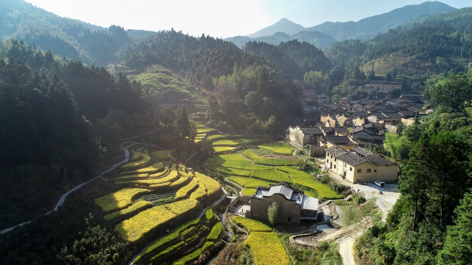 xiadi paddy field bookstore of librairie avant garde china by tao
