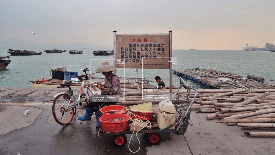 urban witness the transformation of shekou fishing port china by 24 scanlab