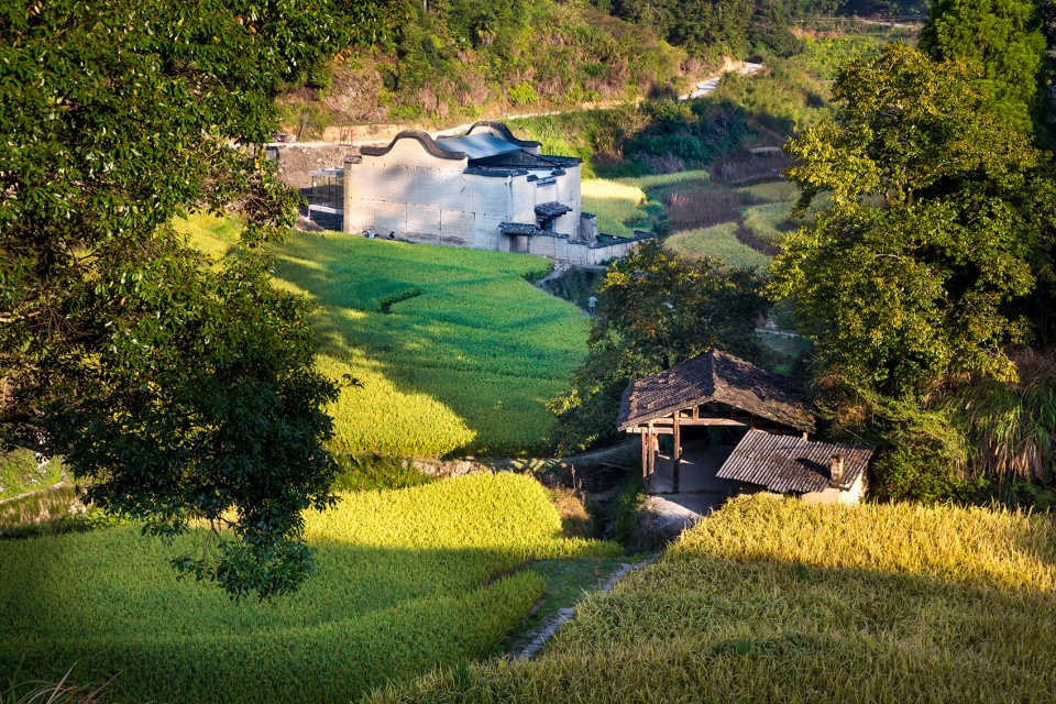 xiadi paddy field bookstore of librairie avant garde china by tao