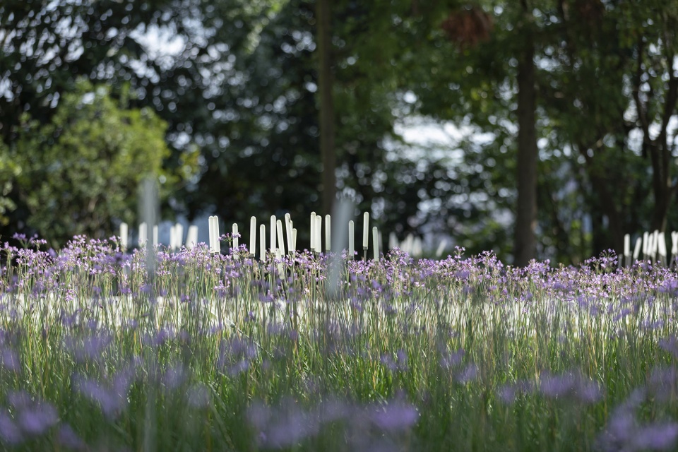 anshun hongshan lake civil park china by la design