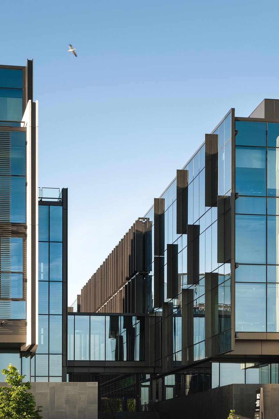 christchurch justice and emergency services precinct by warren and mahony wsp group cox architecture
