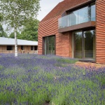 Olmen住宅，比利时 / Pascal François Architects