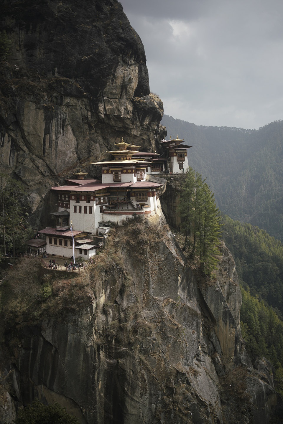 gooood合辑度假区