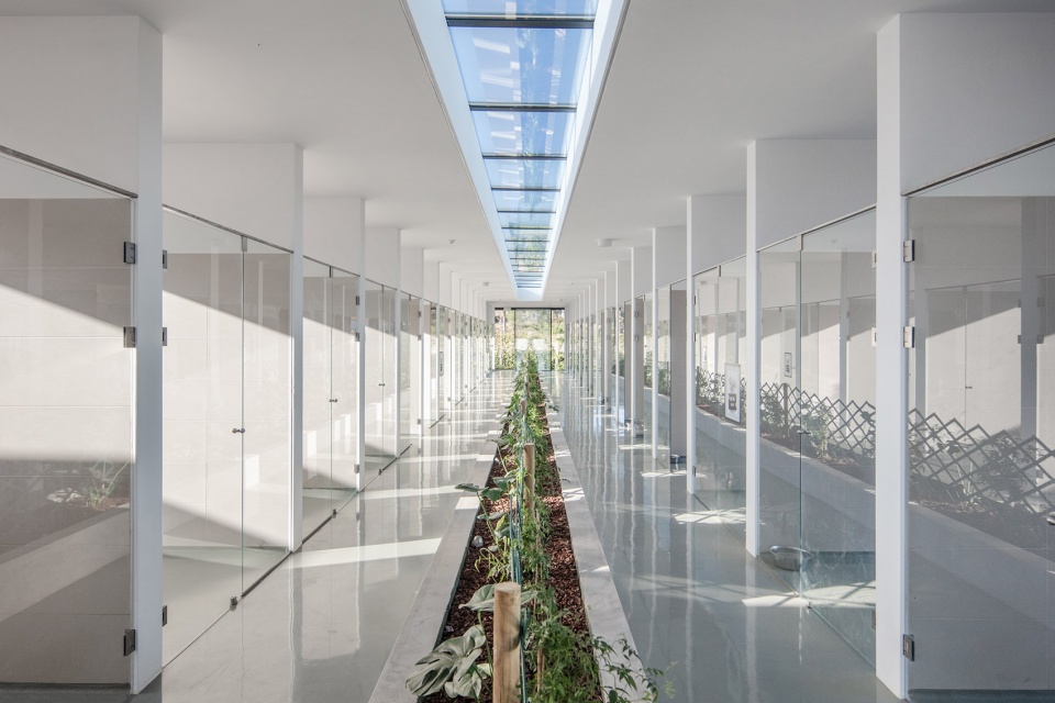 canine feline hotel by raulino silva arquitecto