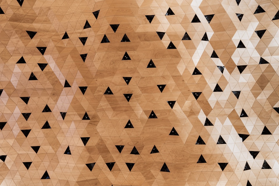 wood skin covers the dome and walls of the new assembly hall of the united nations palace in geneva