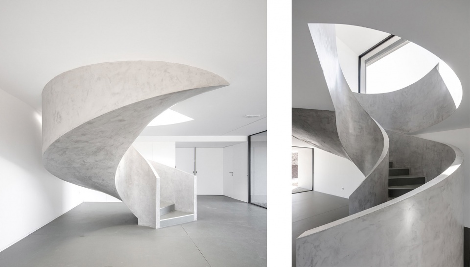 canine feline hotel by raulino silva arquitecto副本