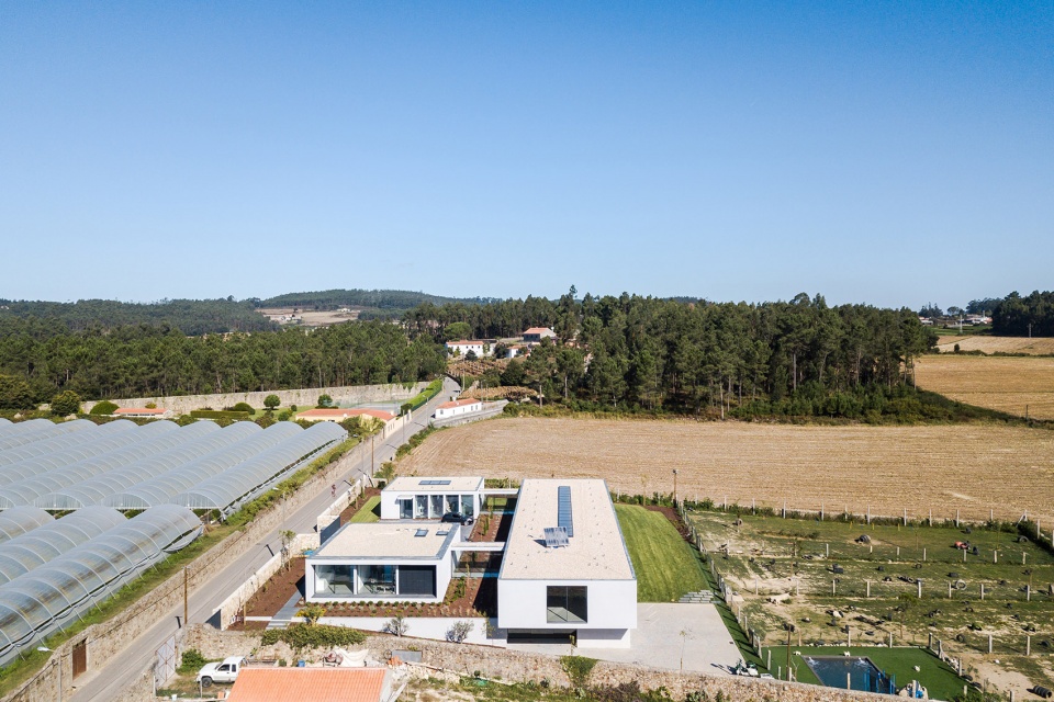 canine feline hotel by raulino silva arquitecto