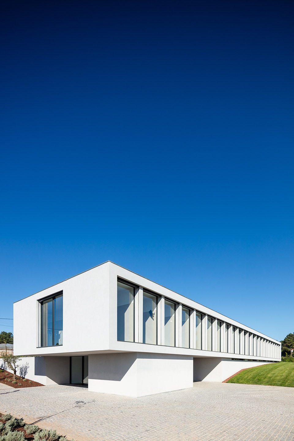 canine feline hotel by raulino silva arquitecto