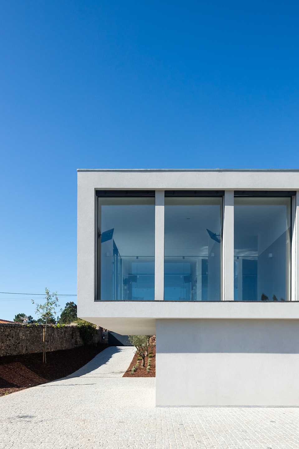 canine feline hotel by raulino silva arquitecto