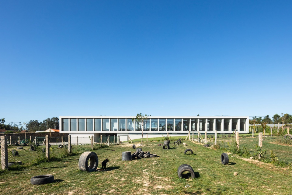 canine feline hotel by raulino silva arquitecto