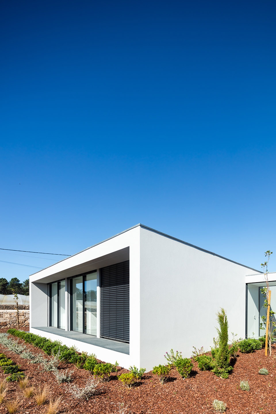 canine feline hotel by raulino silva arquitecto
