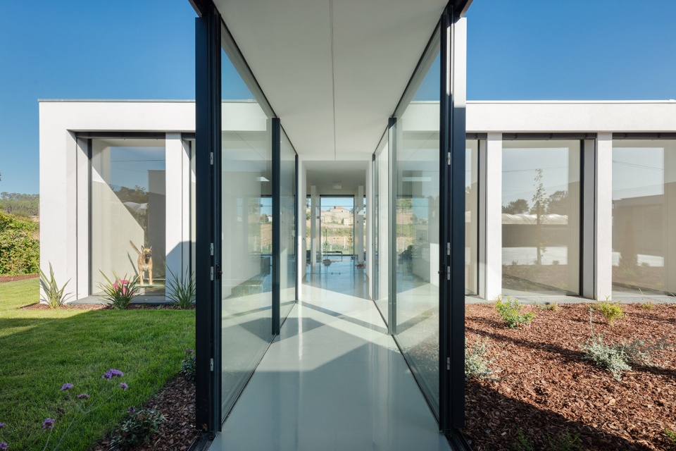 canine feline hotel by raulino silva arquitecto