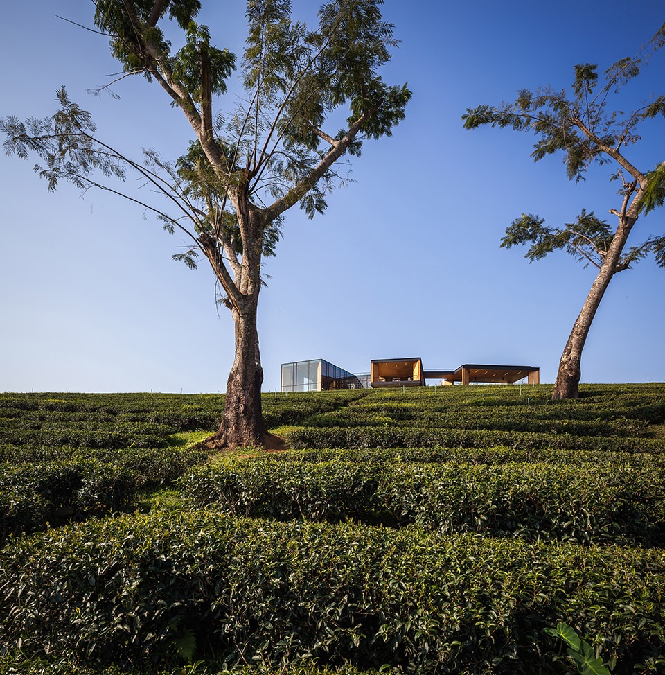 choui fong tea cafe thailand by idin architects