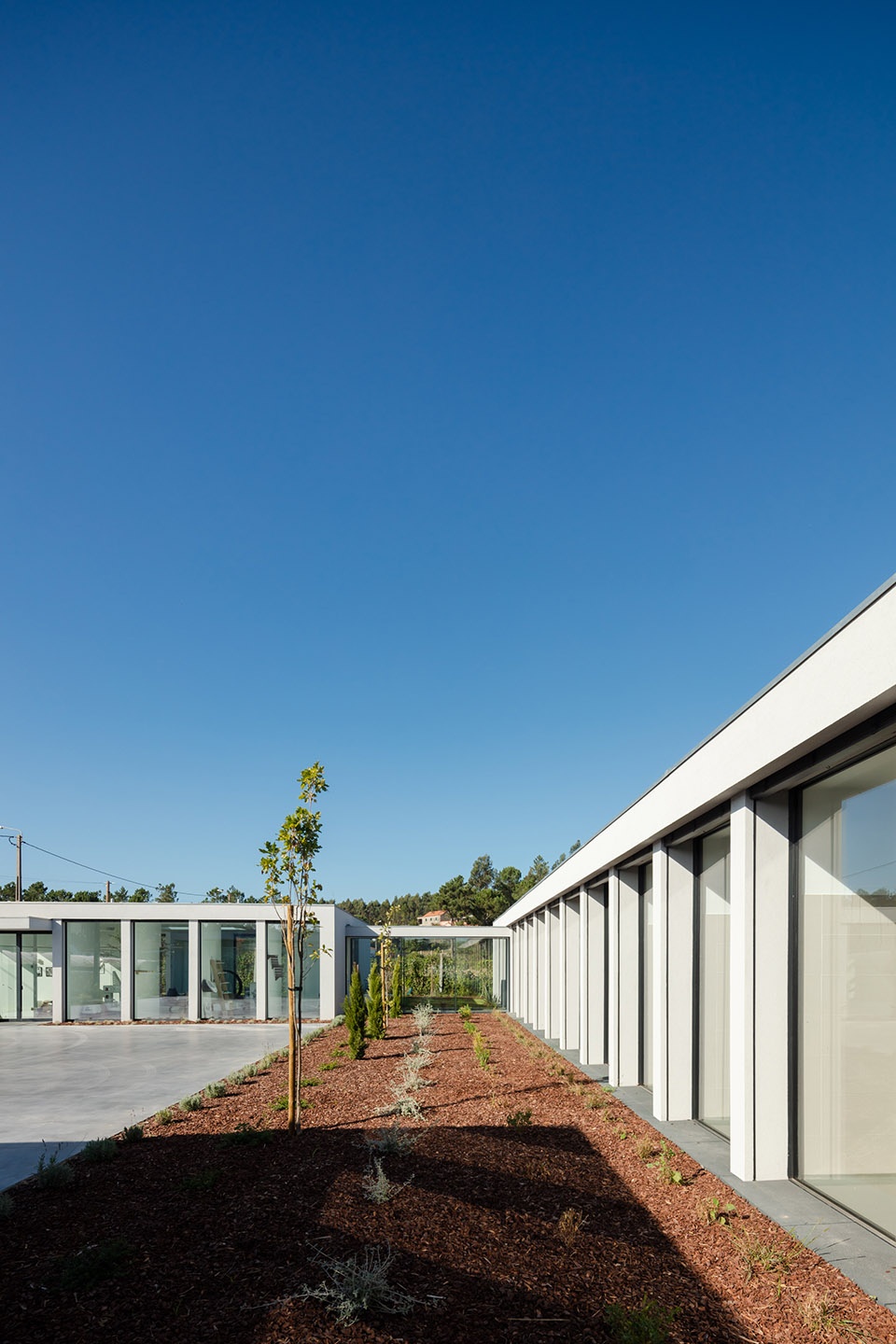 canine feline hotel by raulino silva arquitecto