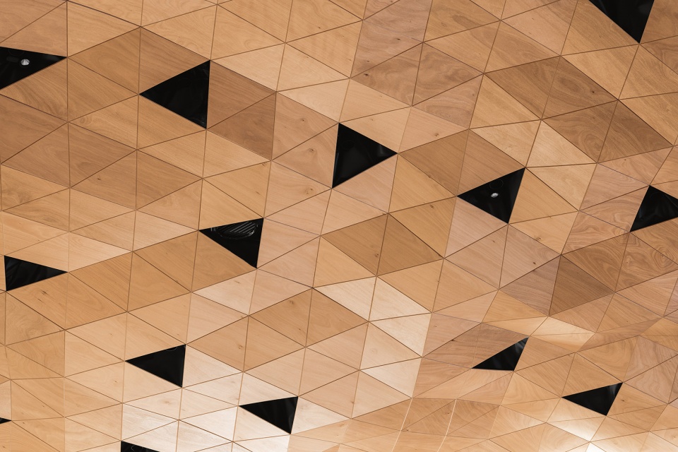wood skin covers the dome and walls of the new assembly hall of the united nations palace in geneva
